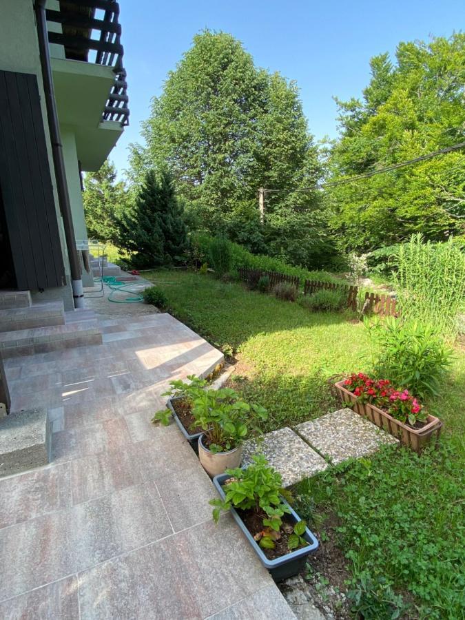 Apartments Vjeverica Zelin Mrzlovodicki ภายนอก รูปภาพ
