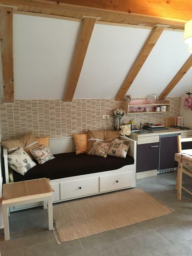 Apartments Vjeverica Zelin Mrzlovodicki ภายนอก รูปภาพ